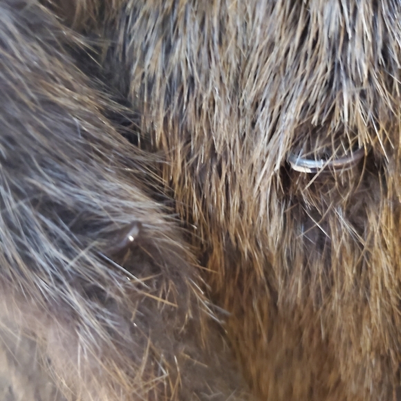 The Fur Vault Fur Coat Women's Fur Coat Sz Large - Picture 10 of 12